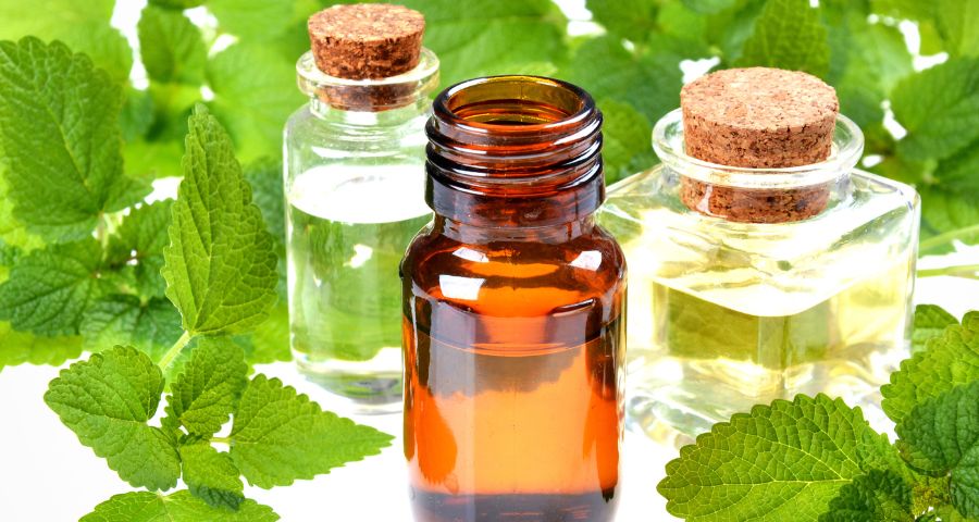 Is it Good to Use Lemon Balm Oil for Cold Sores?