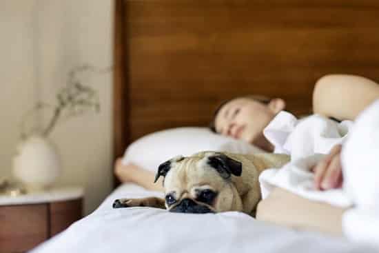 Can Drooling Cause or Spread Cold Sores?